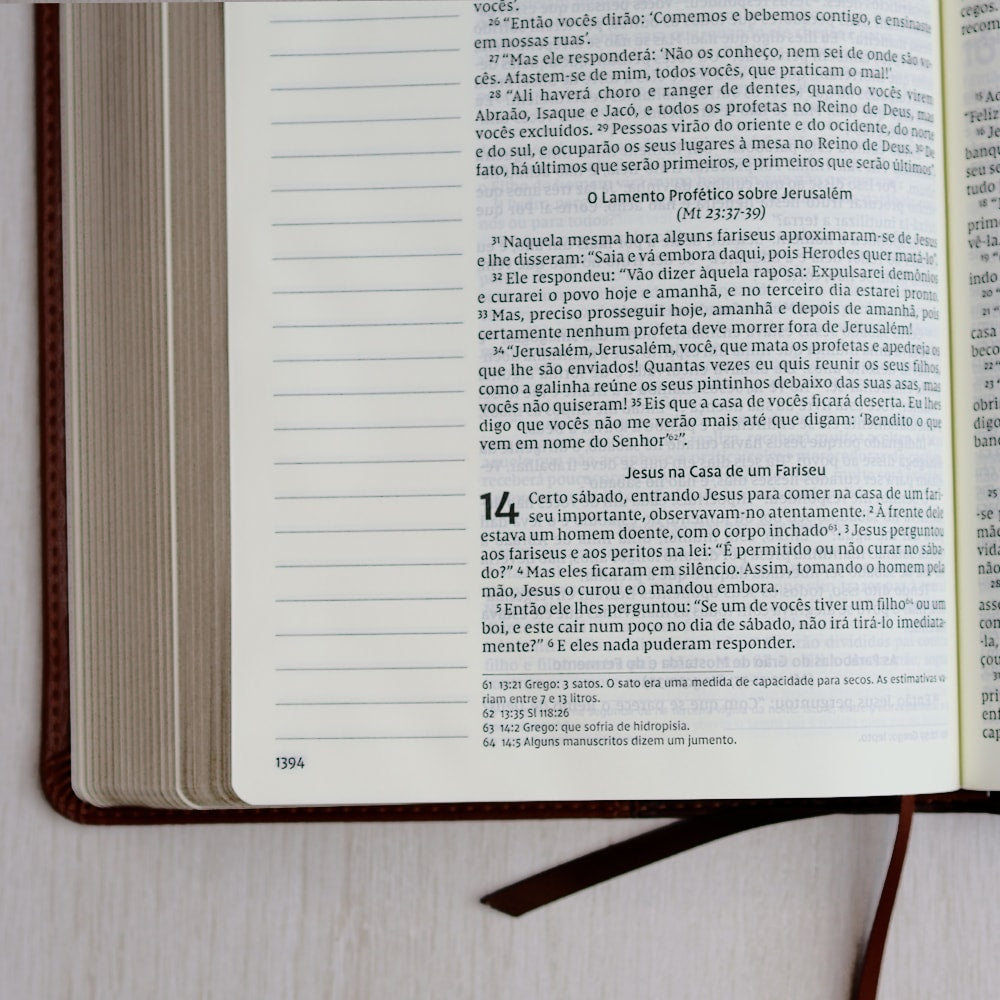 Bíblia Sagrada | NVI | Leitura Perfeita |  Espaço Para Anotação | 2 Tons de Marrom