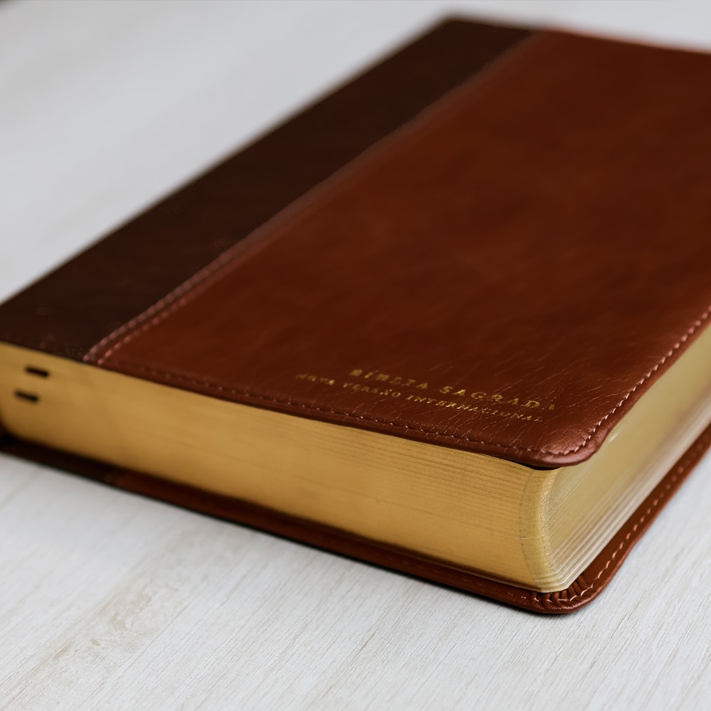 Bíblia Sagrada | NVI | Leitura Perfeita |  Espaço Para Anotação | 2 Tons de Marrom