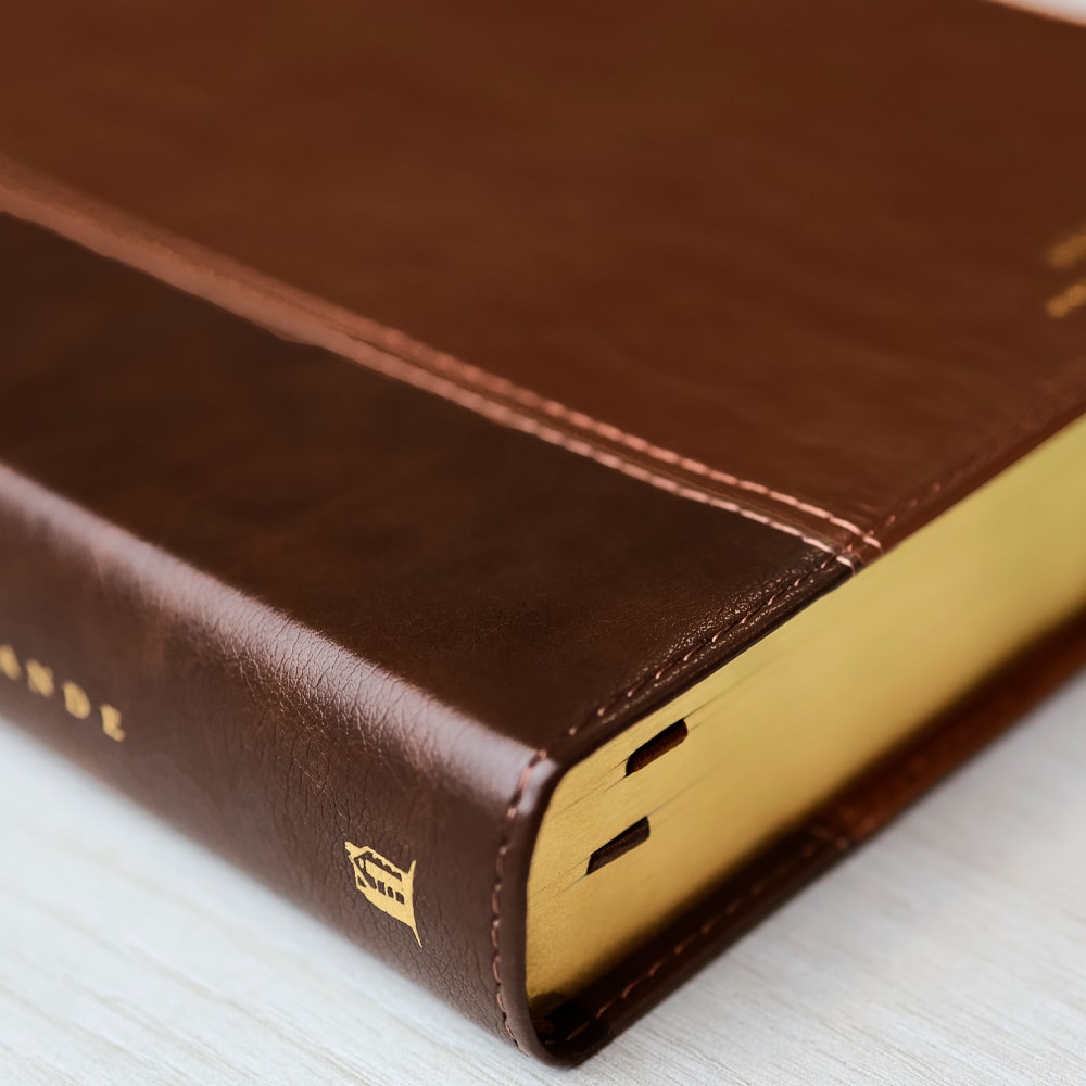 Bíblia Sagrada | NVI | Leitura Perfeita |  Espaço Para Anotação | 2 Tons de Marrom