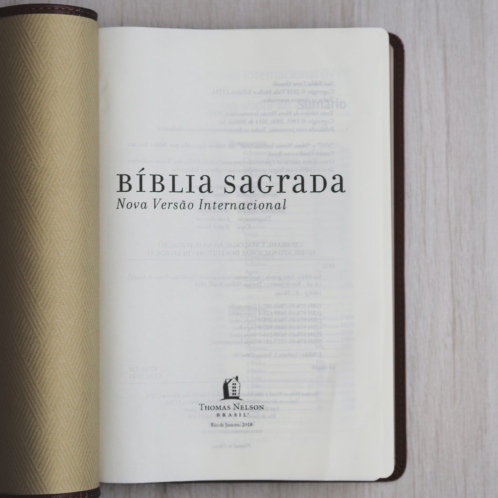 Bíblia Sagrada | NVI | Leitura Perfeita |  Espaço Para Anotação | 2 Tons de Marrom
