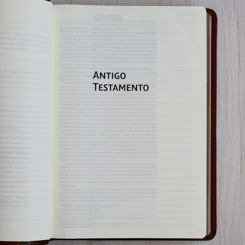 Bíblia Sagrada | NVI | Leitura Perfeita |  Espaço Para Anotação | 2 Tons de Marrom