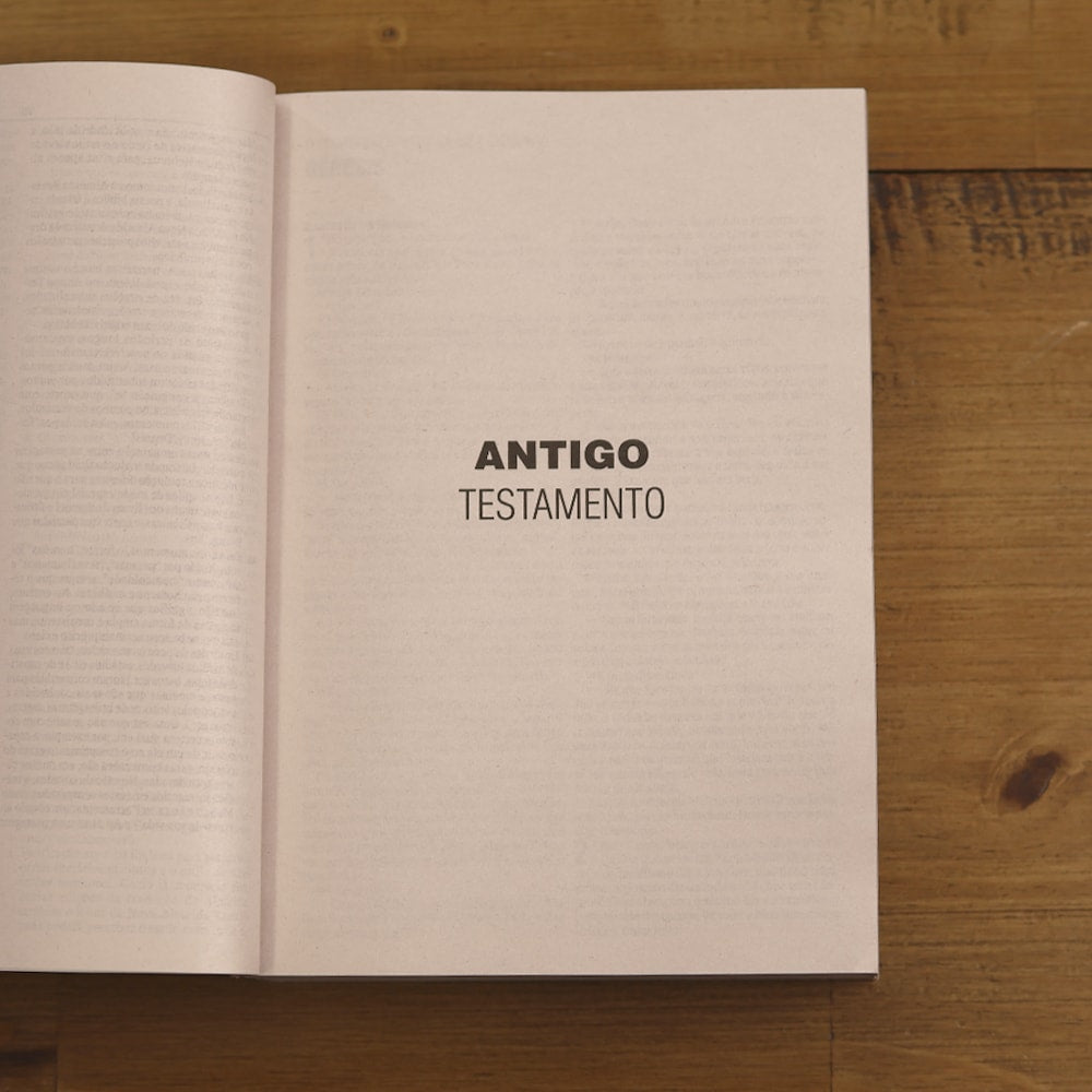 Bíblia Sagrada Lâmpada Salmos 119 | NAA | Letra Normal | Capa Ilustrada