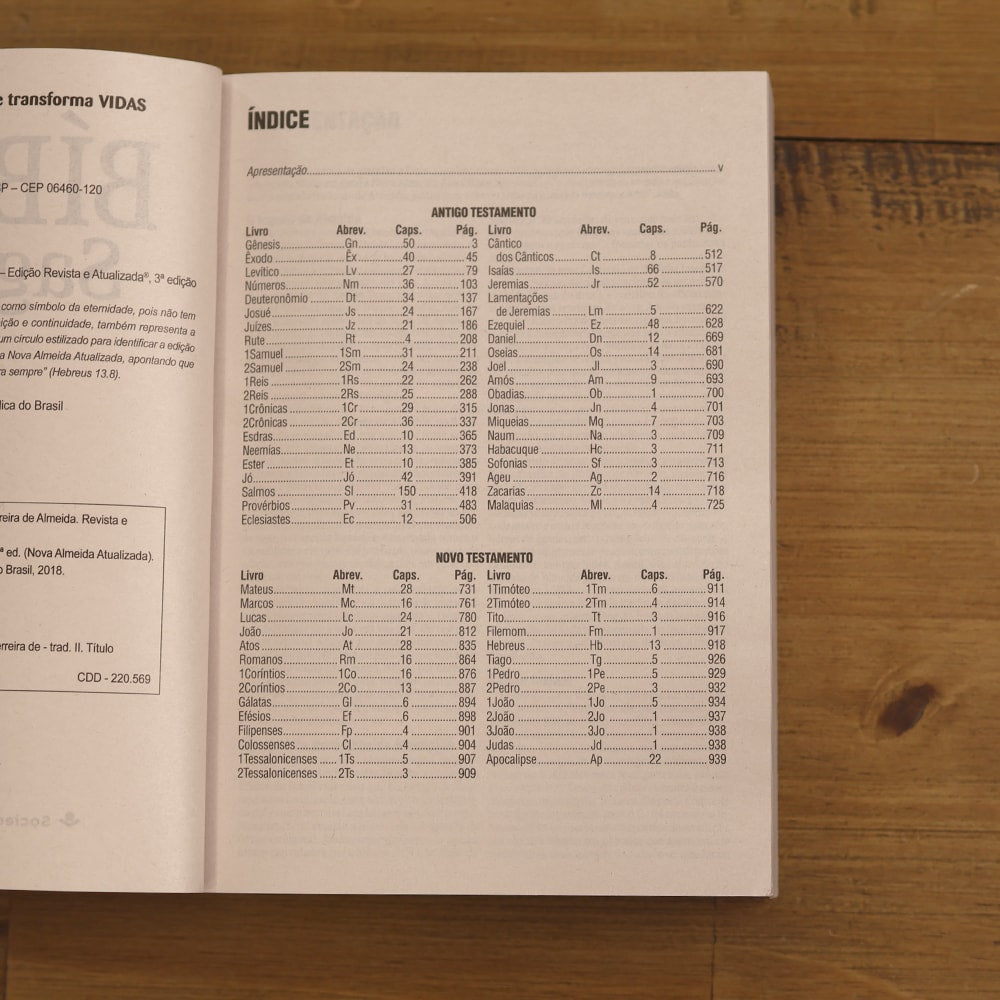 Bíblia Sagrada Lâmpada Salmos 119 | NAA | Letra Normal | Capa Ilustrada