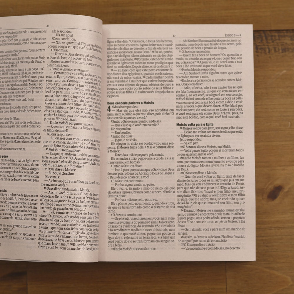 Bíblia Sagrada Lâmpada Salmos 119 | NAA | Letra Normal | Capa Ilustrada