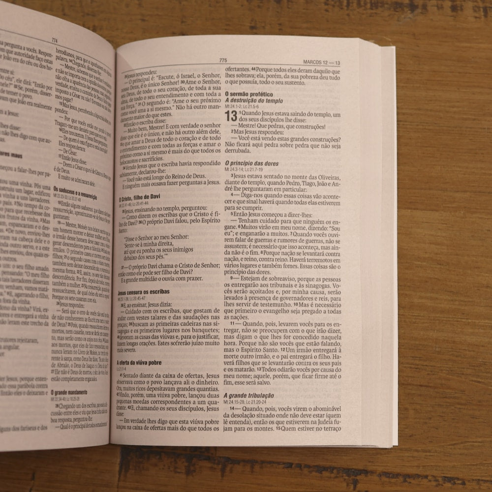 Bíblia Sagrada Lâmpada Salmos 119 | NAA | Letra Normal | Capa Ilustrada