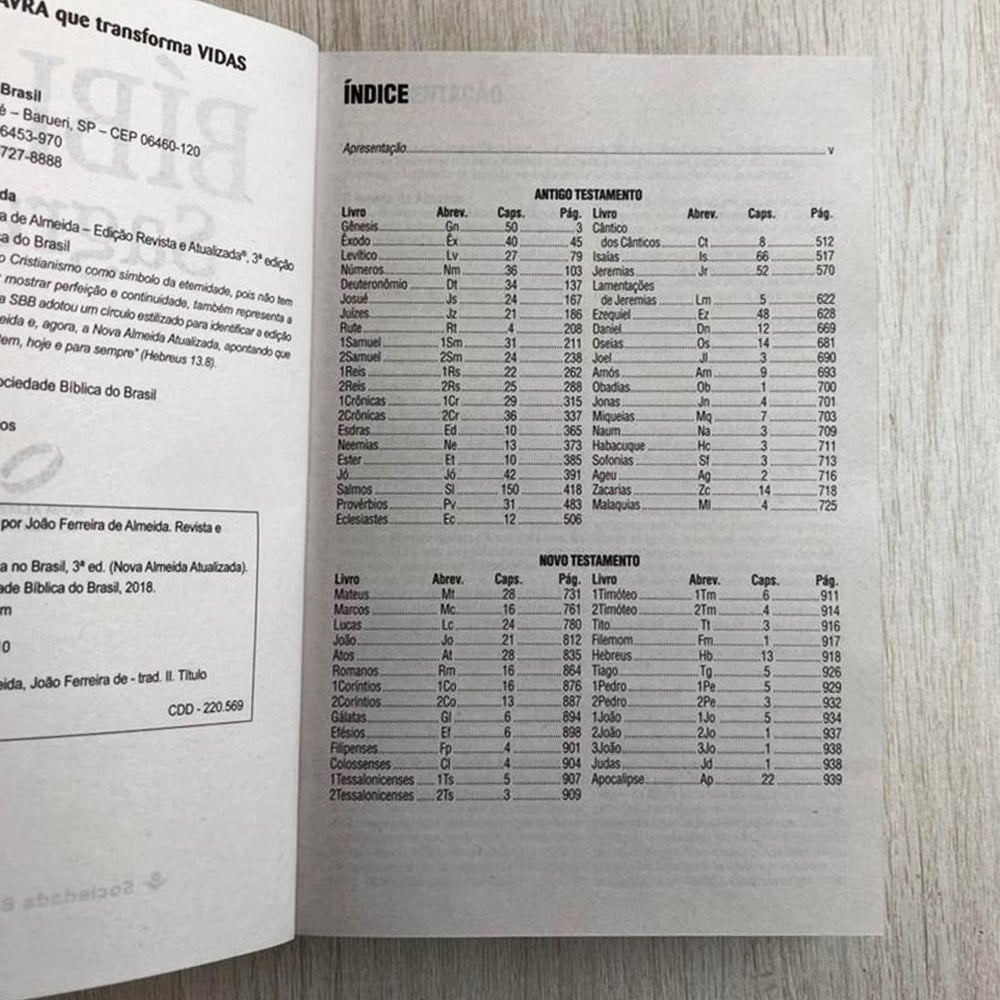 Bíblia Sagrada Porque Deus Amou João 3:16 | NAA | Letra Normal | Capa Ilustrada