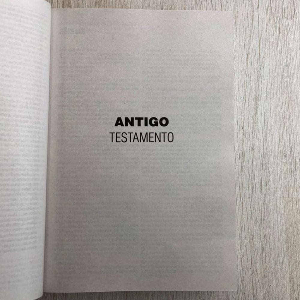 Bíblia Sagrada Porque Deus Amou João 3:16 | NAA | Letra Normal | Capa Ilustrada