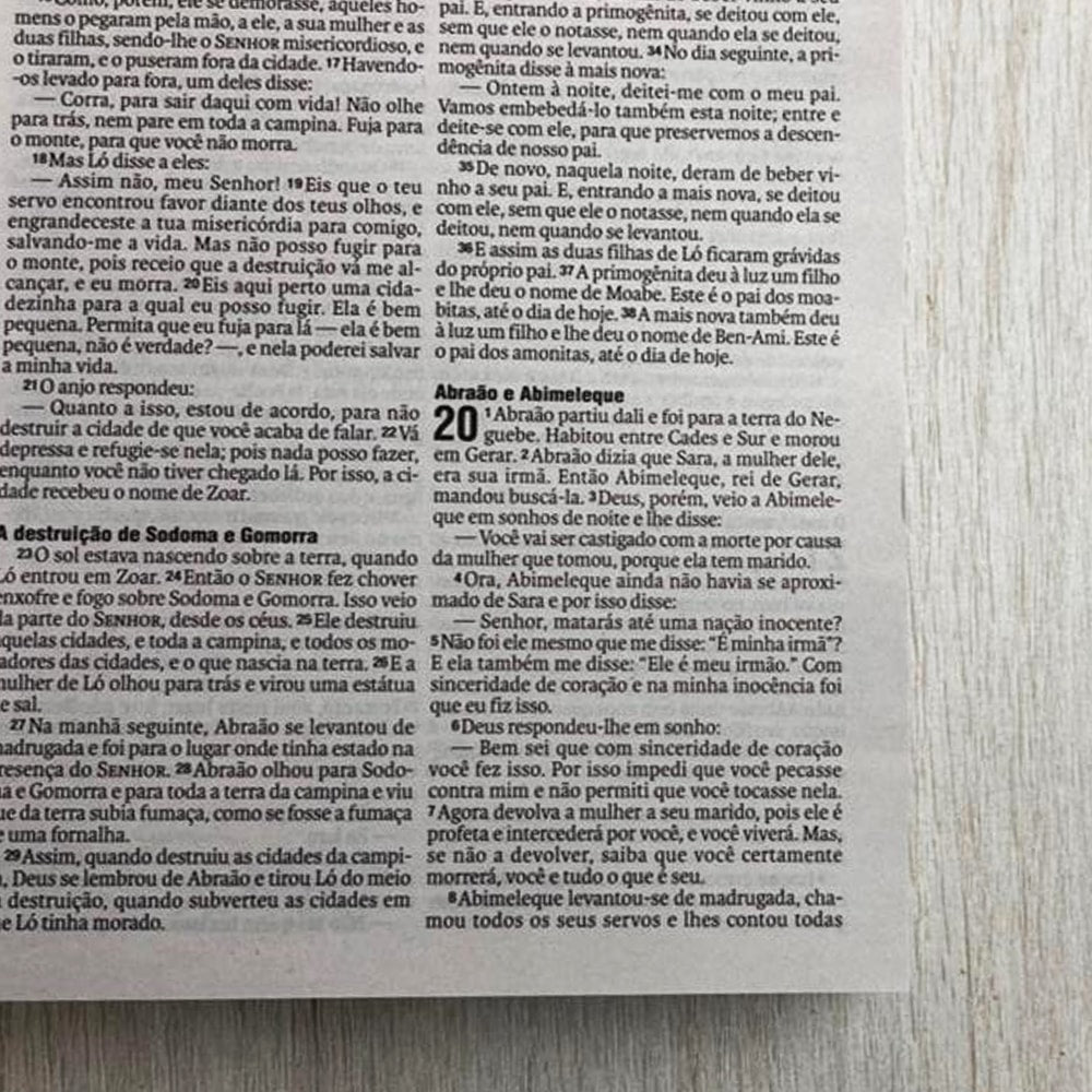 Bíblia Sagrada Porque Deus Amou João 3:16 | NAA | Letra Normal | Capa Ilustrada