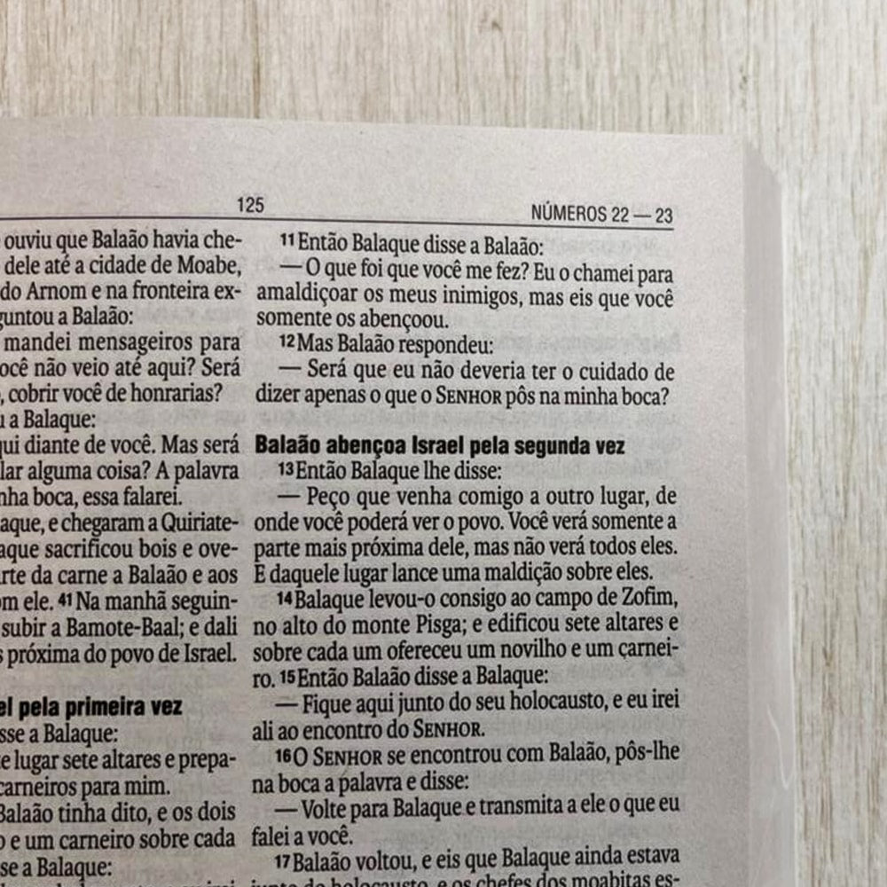 Bíblia Sagrada Porque Deus Amou João 3:16 | NAA | Letra Normal | Capa Ilustrada