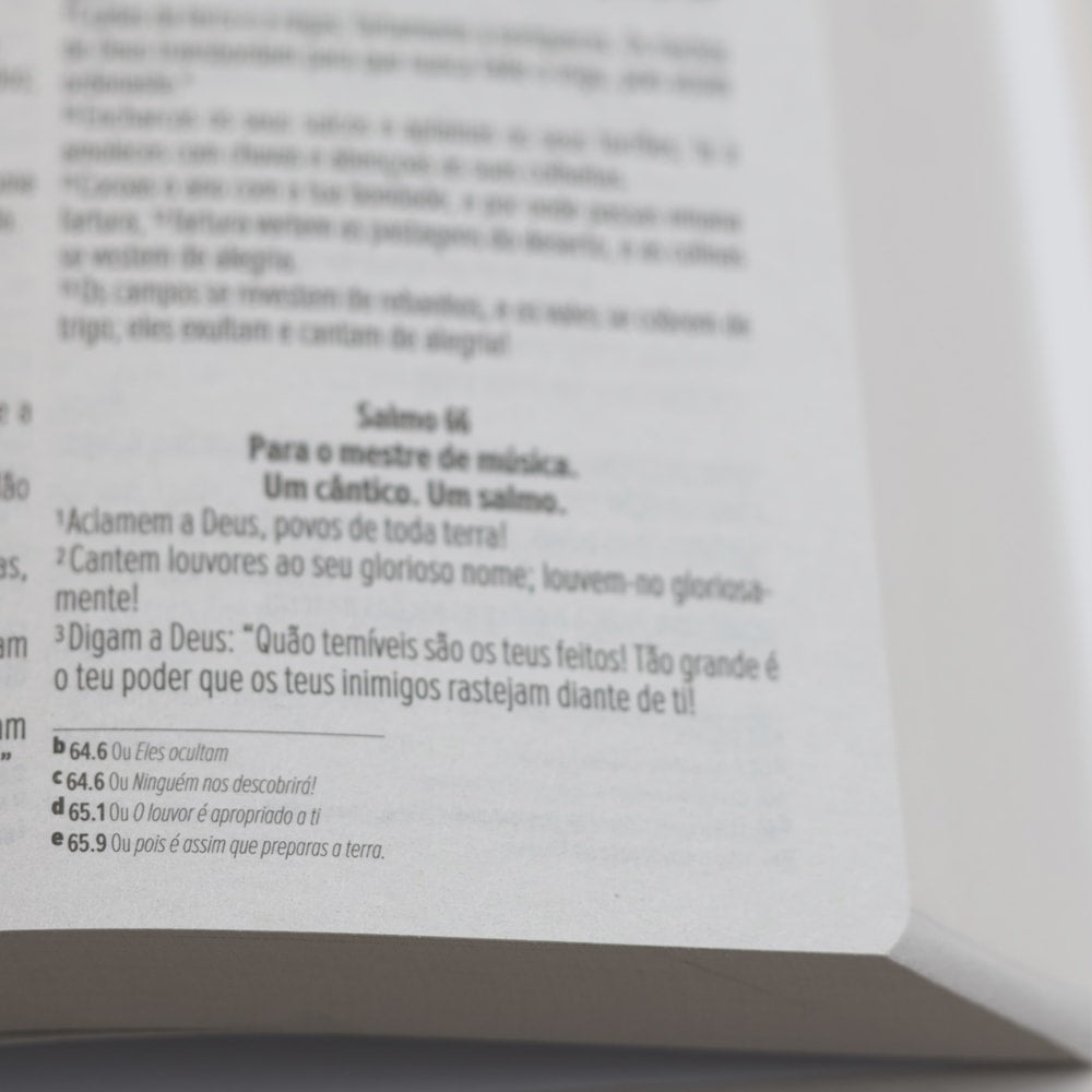 Bíblia Sagrada Flor | NVI | Letra Normal | Capa Dura