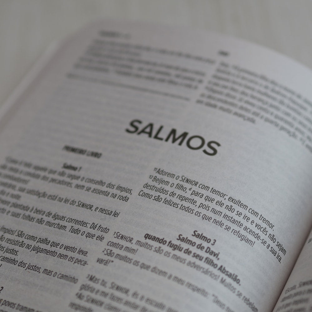 Bíblia Sagrada Feminina | NVI | Capa Brochura