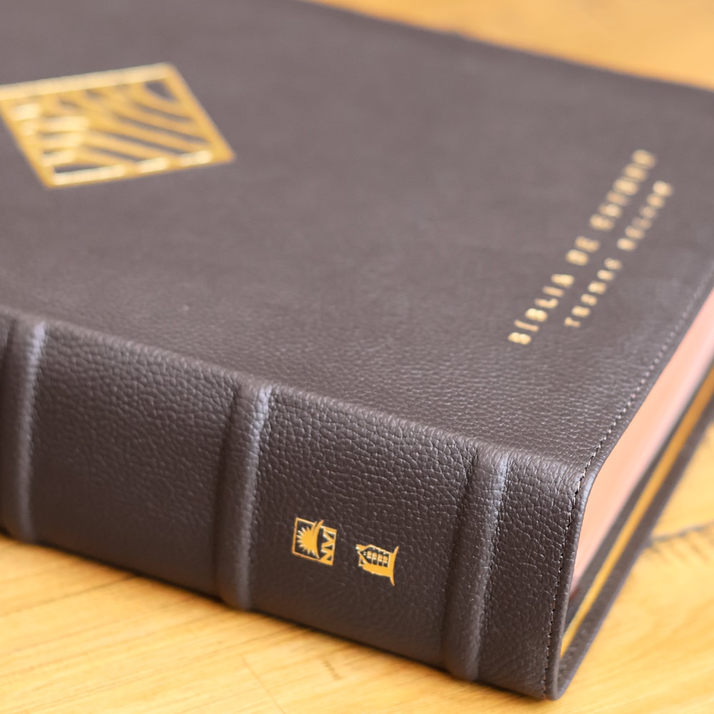 Bíblia De Estudo Thomas Nelson | NVI | Letra Normal | Capa Luxo Marrom Couro Legítimo