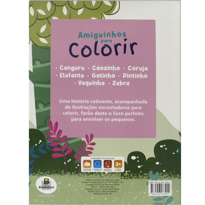 Amiguinhos para Colorir: Coruja | Todolivro