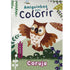 Livro Amiguinhos para Colorir: Coruja da Todolivro, capa branca com ilustração de coruja. — Plenitude