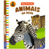 Livro Nomes & Texturas: Animais da Selva, da Brijbasi Art Press Ltd. Capa branca com zebra e leopardo. — Plenitude
