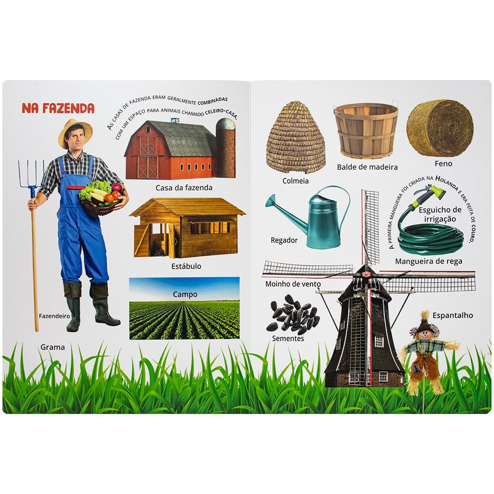 Descobrir e Aprender: Fazenda | Brijbasi Art Press Ltd