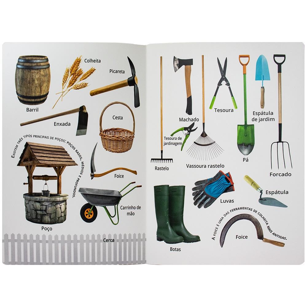 Descobrir e Aprender: Fazenda | Brijbasi Art Press Ltd