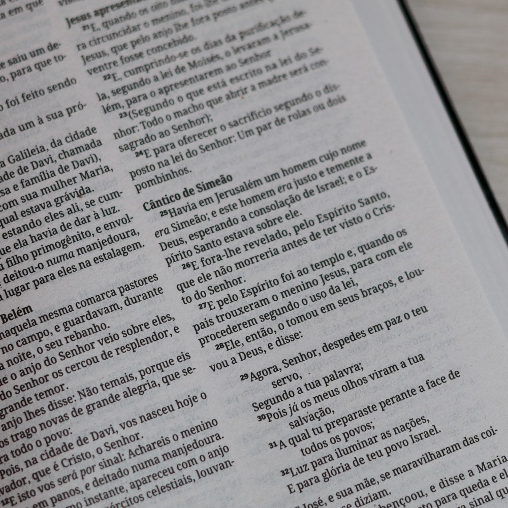 Bíblia Sagrada A Palavra de Deus é Viva e Eficaz | ACF | Letra Normal | Capa Brochura