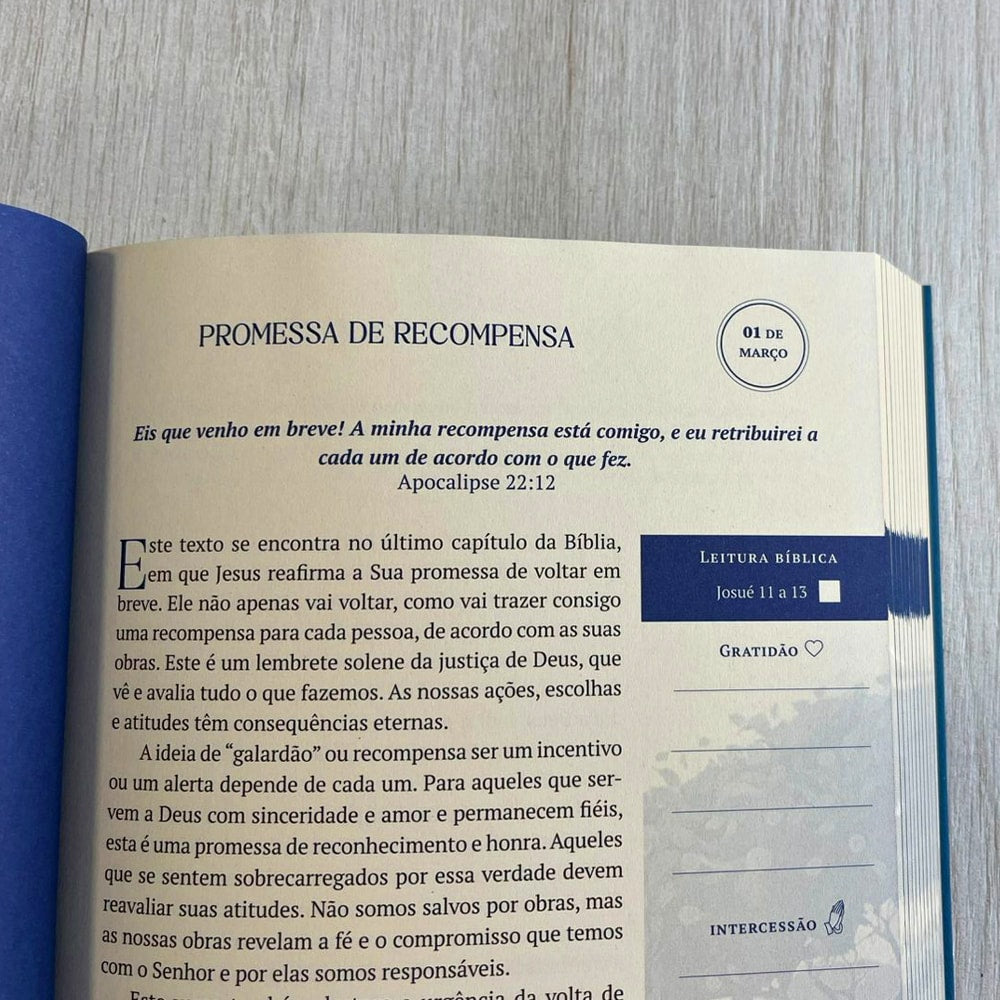 Kit Dia dos Pais - Bíblia Sagrada Lettering | NVI | Capa Brochura Azul + Devocional As Promessas de Deus | Carlito Paes