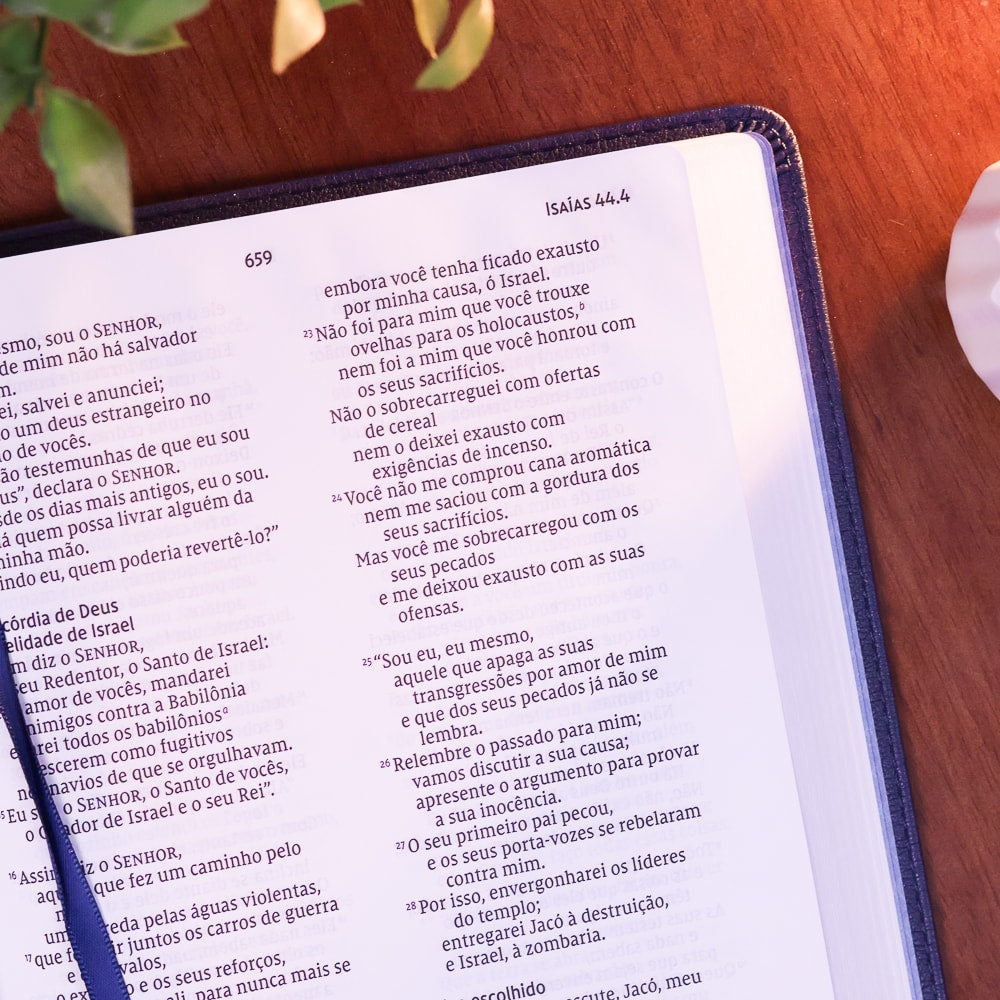 Bíblia Barroca Slim | NVI | Letra Grande | Capa Luxo Couro Soft Azul