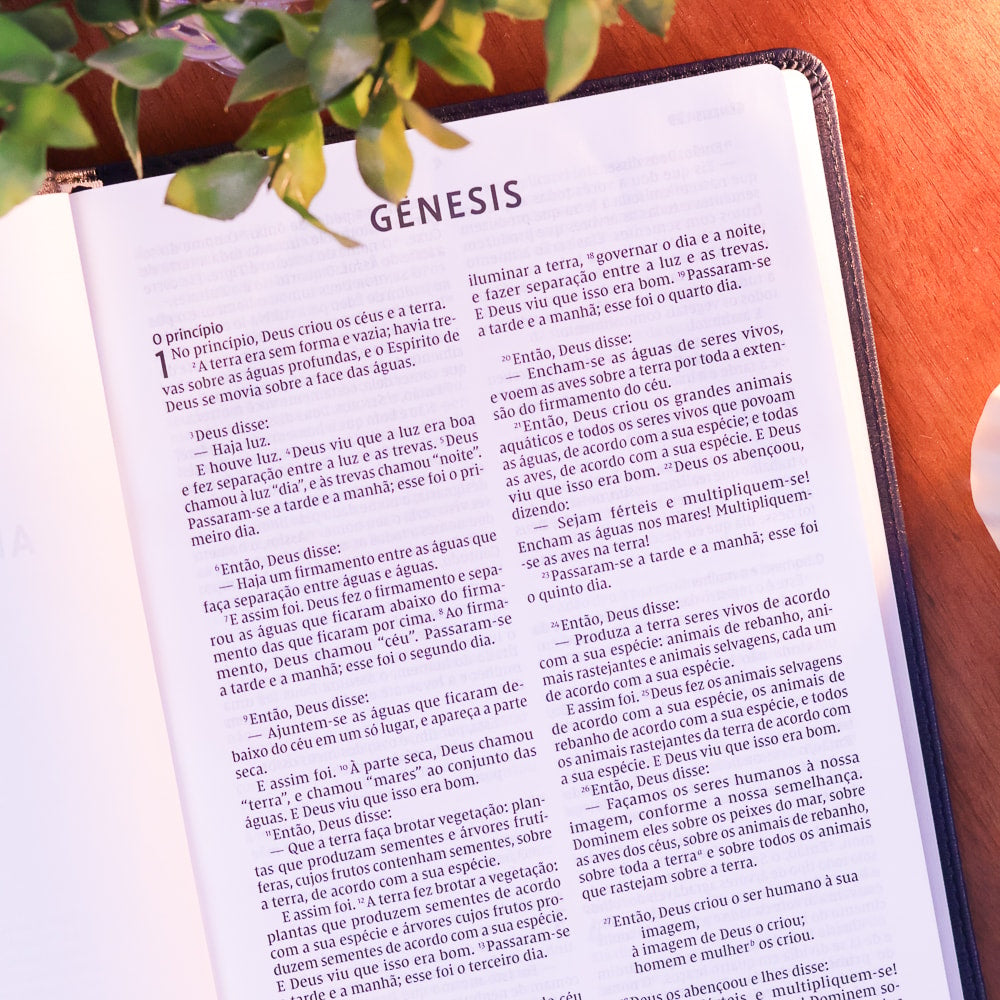 Bíblia Barroca Slim | NVI | Letra Grande | Capa Luxo Couro Soft Azul