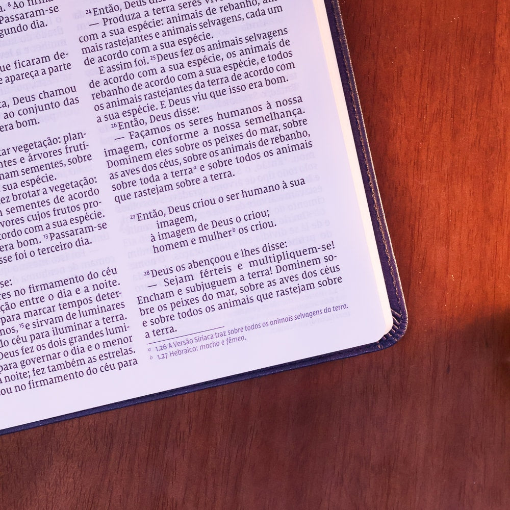 Bíblia Barroca Slim | NVI | Letra Grande | Capa Luxo Couro Soft Azul