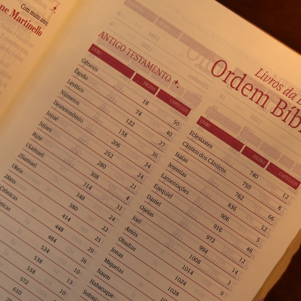 Bíblia Mulheres Folhas | Viviane Martinello | NVT | Espaço Para Anotações | Capa Luxo Vinho