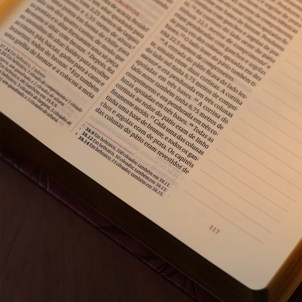 Bíblia Mulheres Folhas | Viviane Martinello | NVT | Espaço Para Anotações | Capa Luxo Vinho