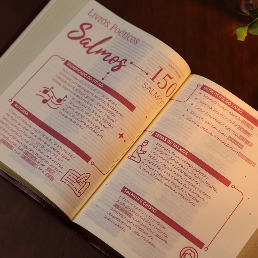 Bíblia Mulheres Folhas | Viviane Martinello | NVT | Espaço Para Anotações | Capa Luxo Vinho