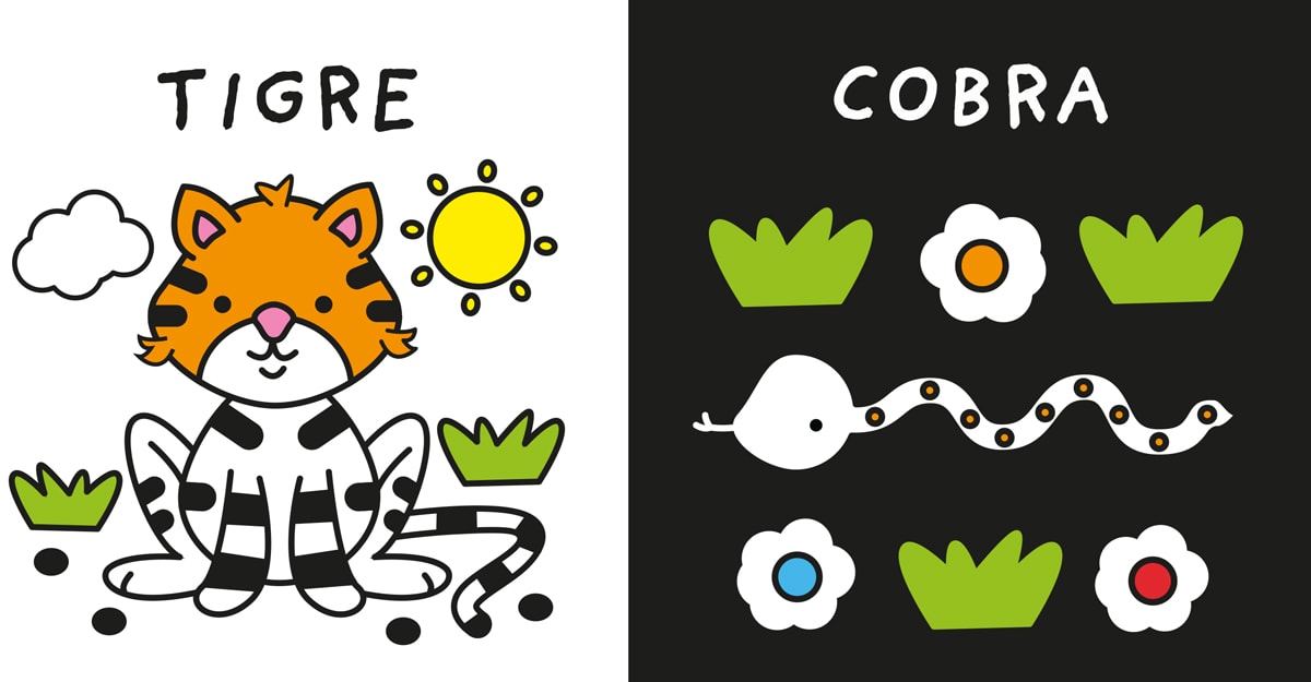 Meus Primeiros Animais | Ciranda Cultural