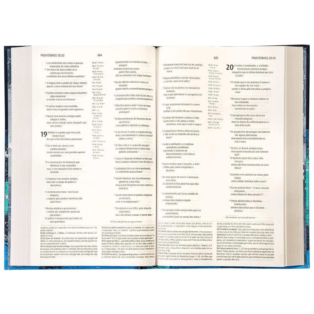 Bíblia de Estudo Introdutória | NVI | Leitura Perfeita | Capa Brochura