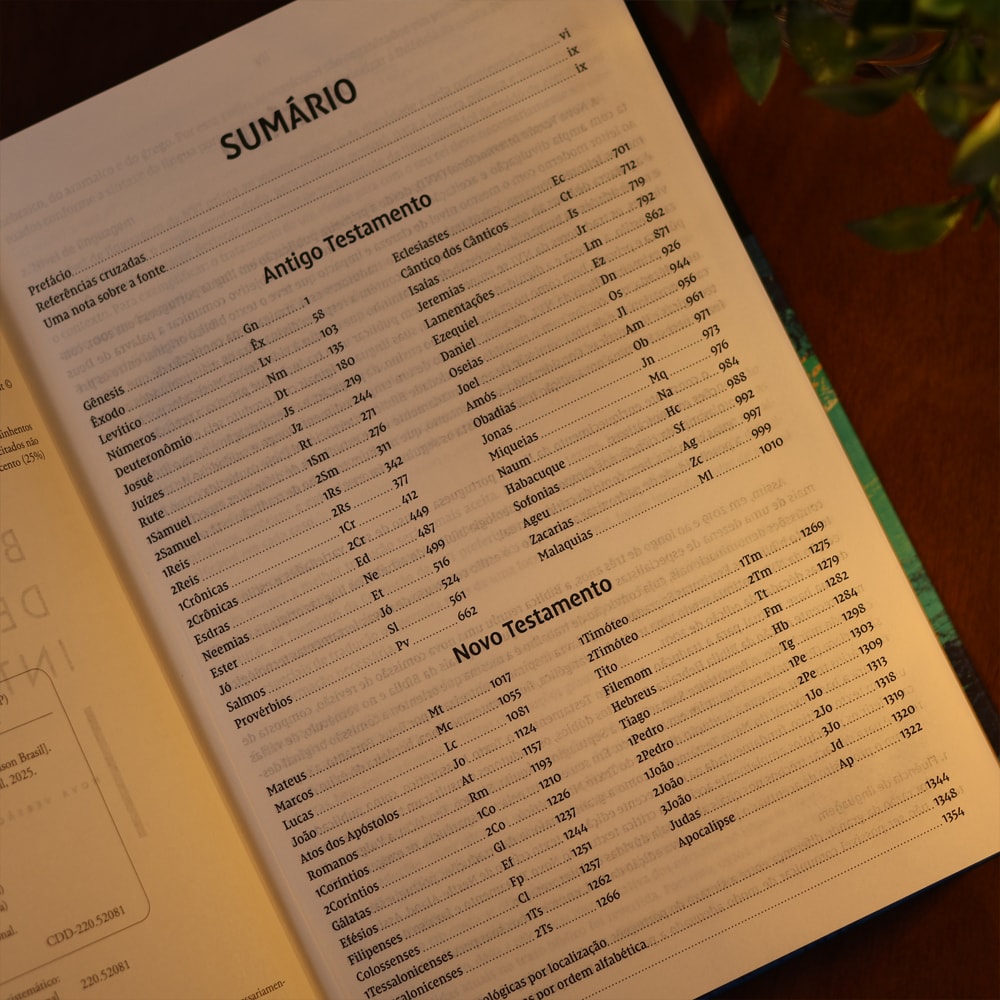 Bíblia de Estudo Inrodutória | NVI | Leitura Perfeita | Capa Dura com Tecido