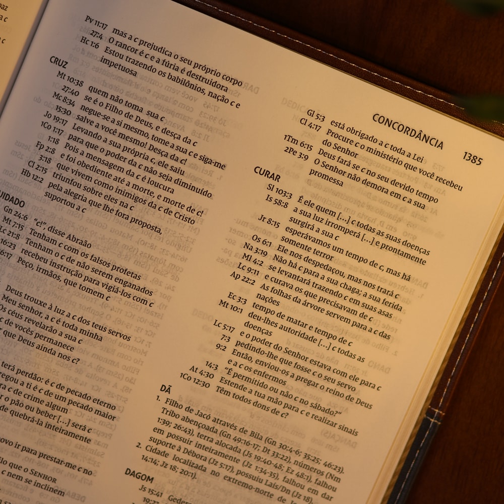 Bíblia de Estudo Inrodutória | NVI | Leitura Perfeita | Capa Couro Soft Marrom e Cinza Chumbo