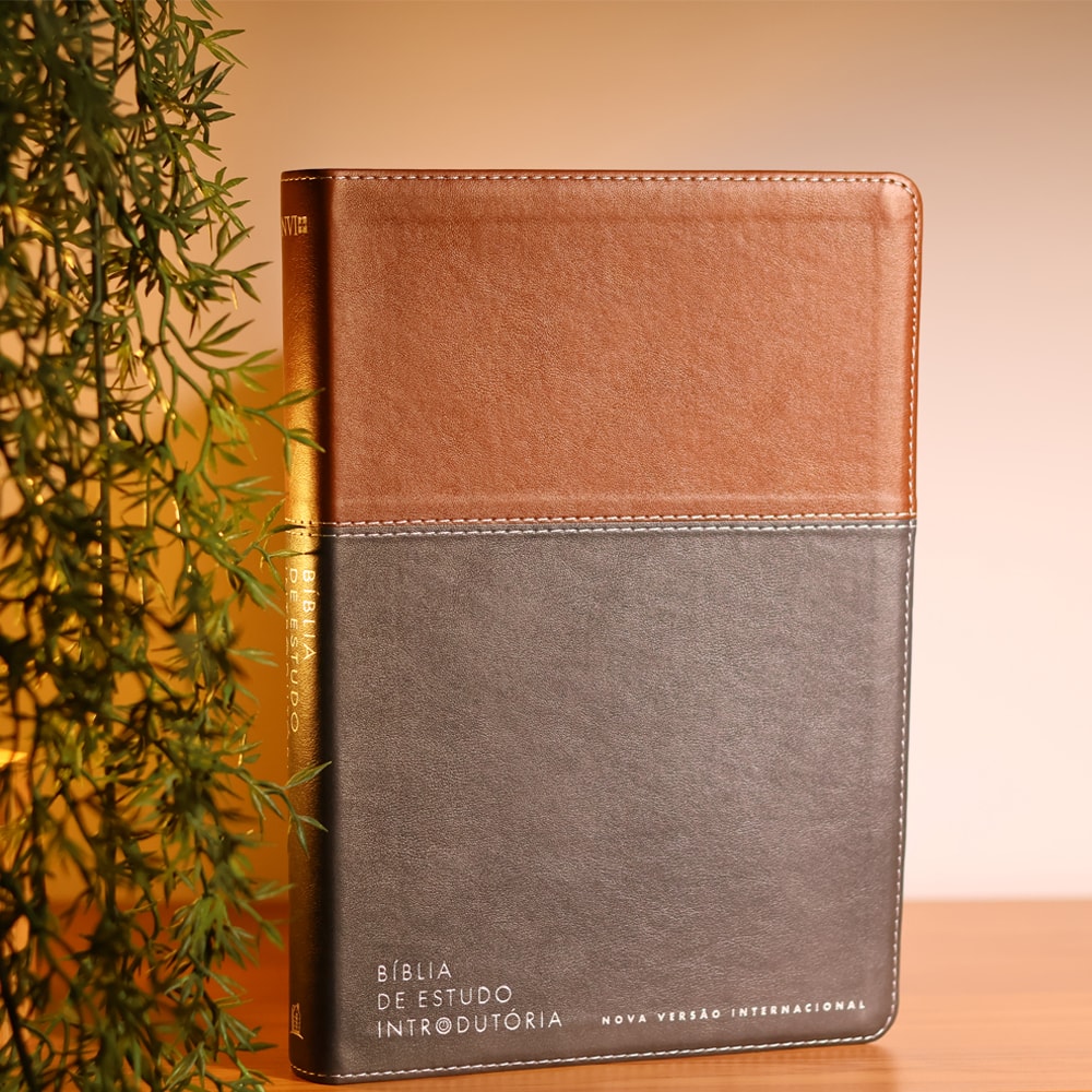 Bíblia de Estudo Inrodutória | NVI | Leitura Perfeita | Capa Couro Soft Marrom e Cinza Chumbo