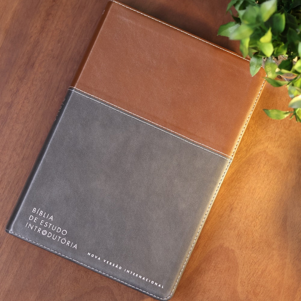 Bíblia de Estudo Inrodutória | NVI | Leitura Perfeita | Capa Couro Soft Marrom e Cinza Chumbo