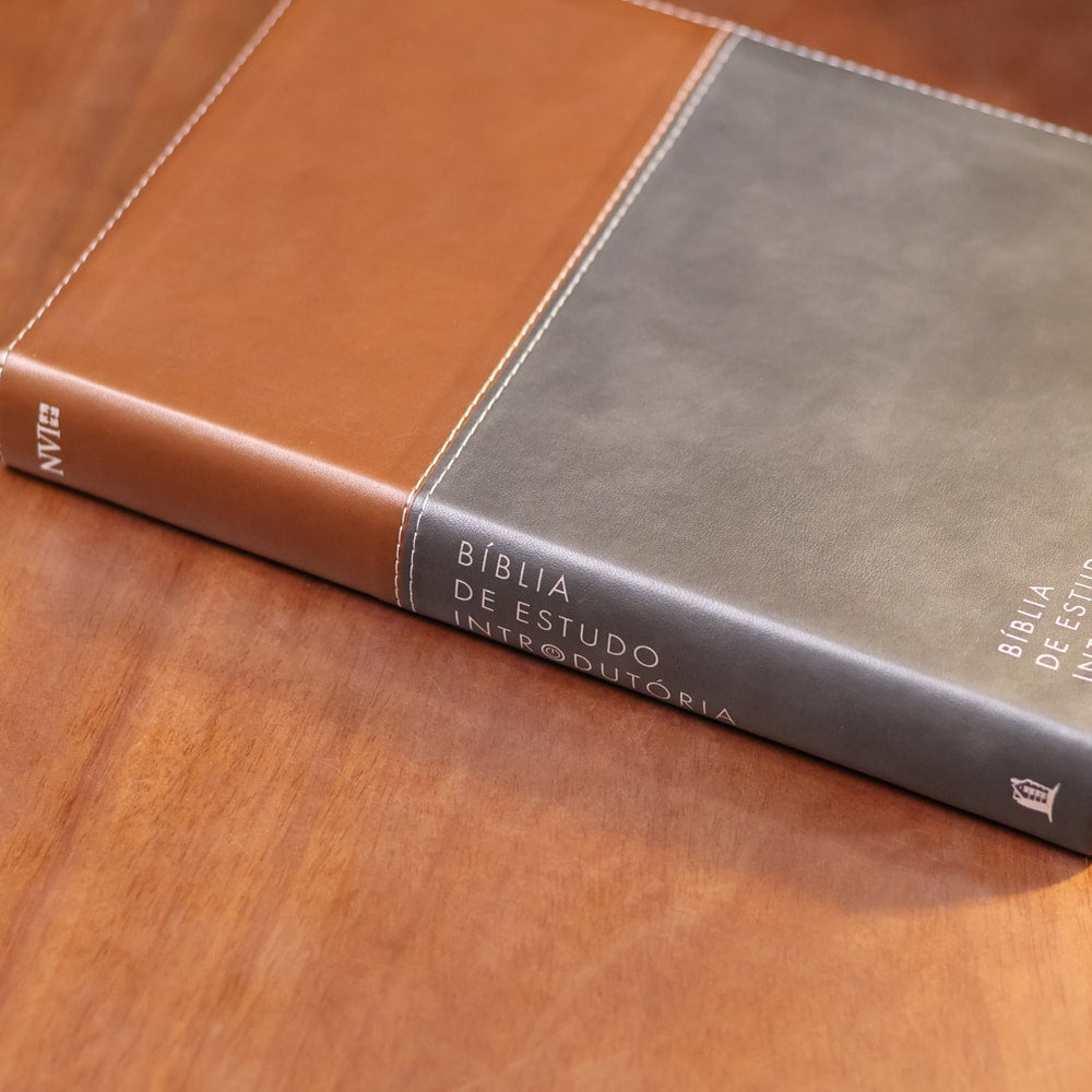 Bíblia de Estudo Inrodutória | NVI | Leitura Perfeita | Capa Couro Soft Marrom e Cinza Chumbo