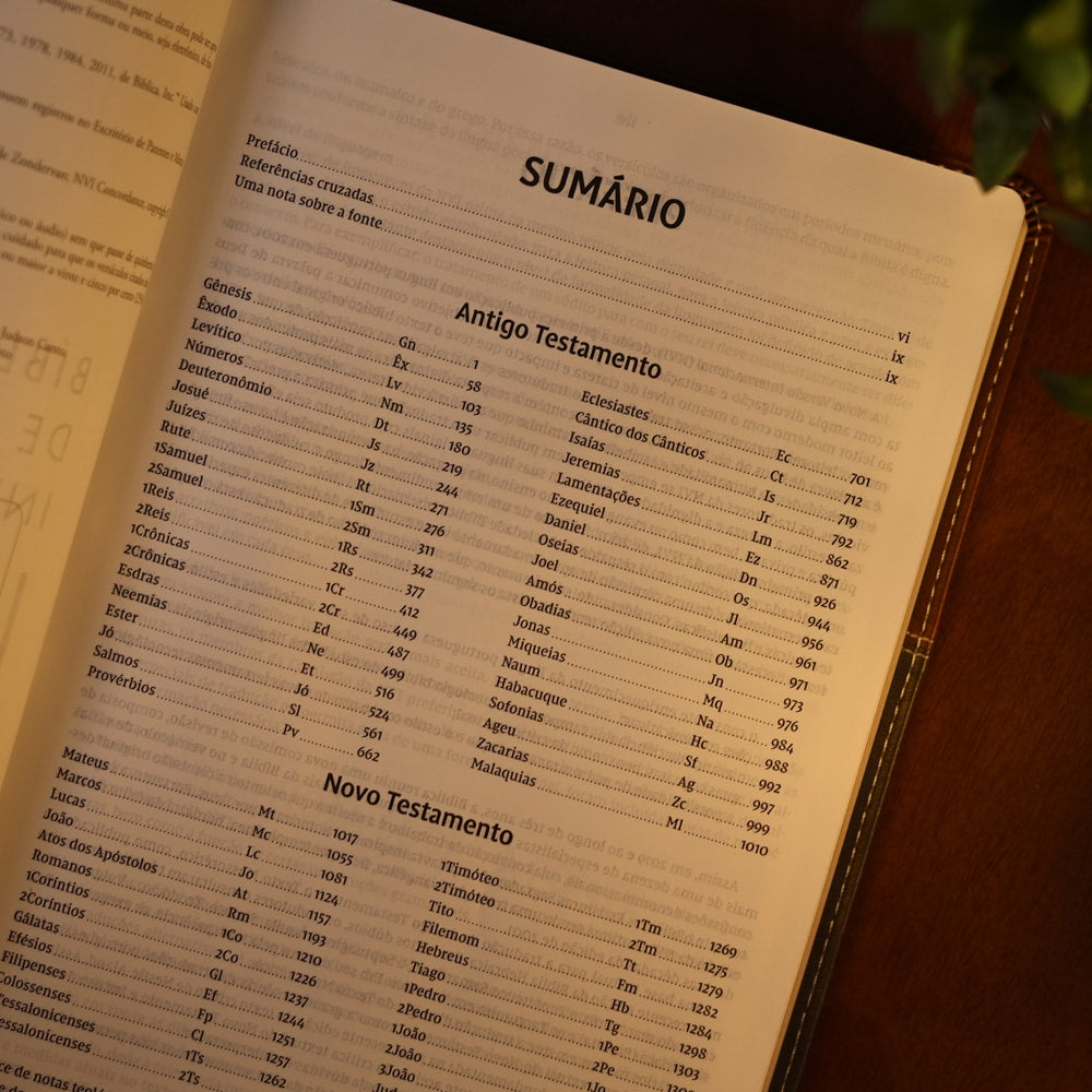 Bíblia de Estudo Inrodutória | NVI | Leitura Perfeita | Capa Couro Soft Marrom e Cinza Chumbo