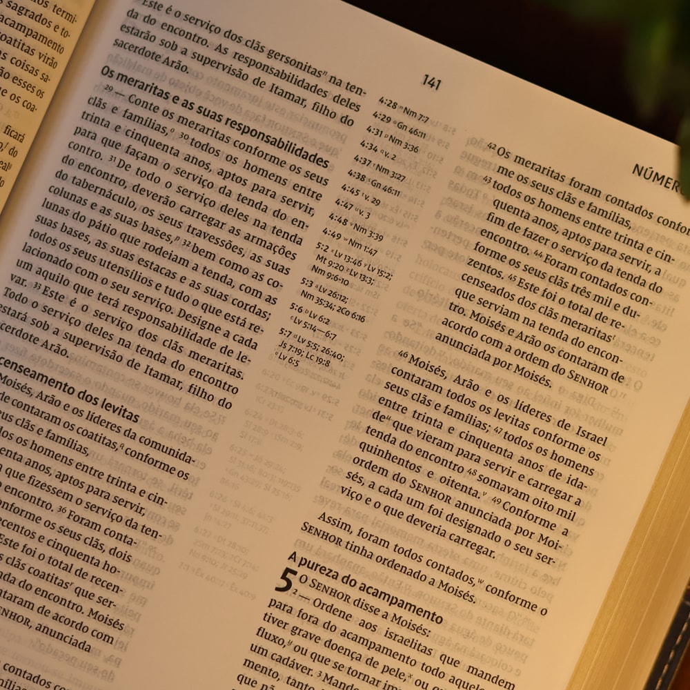 Bíblia de Estudo Inrodutória | NVI | Leitura Perfeita | Capa Couro Soft Marrom e Cinza Chumbo