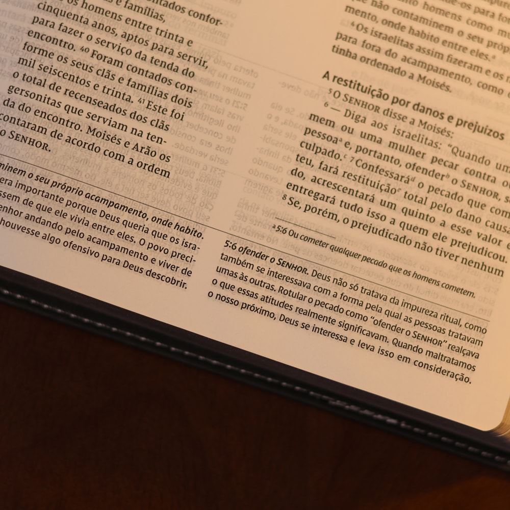 Bíblia de Estudo Inrodutória | NVI | Leitura Perfeita | Capa Couro Soft Marrom e Cinza Chumbo