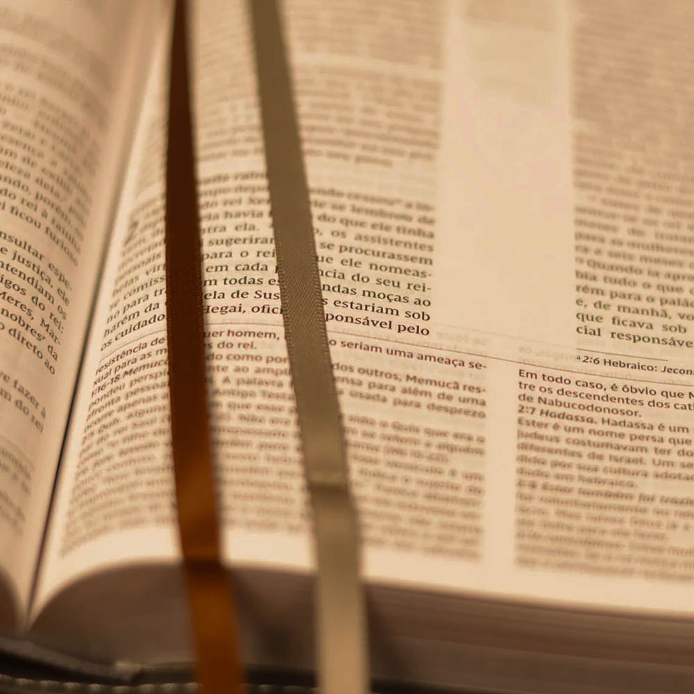 Bíblia de Estudo Inrodutória | NVI | Leitura Perfeita | Capa Couro Soft Marrom e Cinza Chumbo