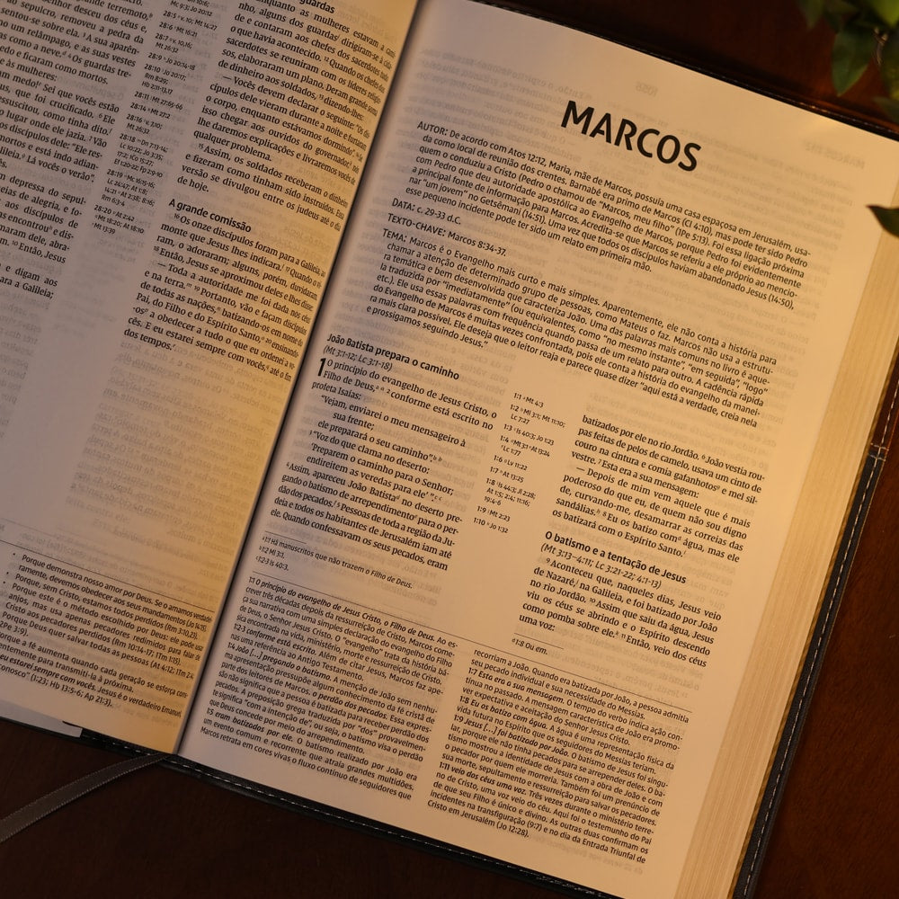 Bíblia de Estudo Inrodutória | NVI | Leitura Perfeita | Capa Couro Soft Marrom e Cinza Chumbo