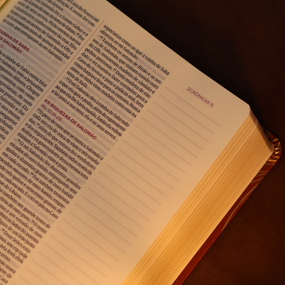 Bíblia Mulheres | Viviane Martinello | NAA | Espaço Para Anotações | Duas Colunas | Folhas Caramelo