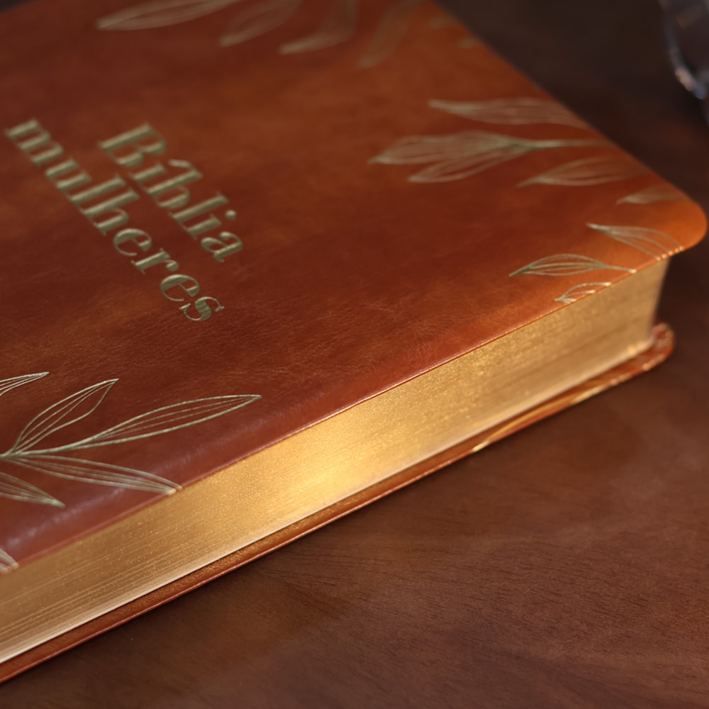 Bíblia Mulheres | Viviane Martinello | NAA | Espaço Para Anotações | Duas Colunas | Folhas Caramelo