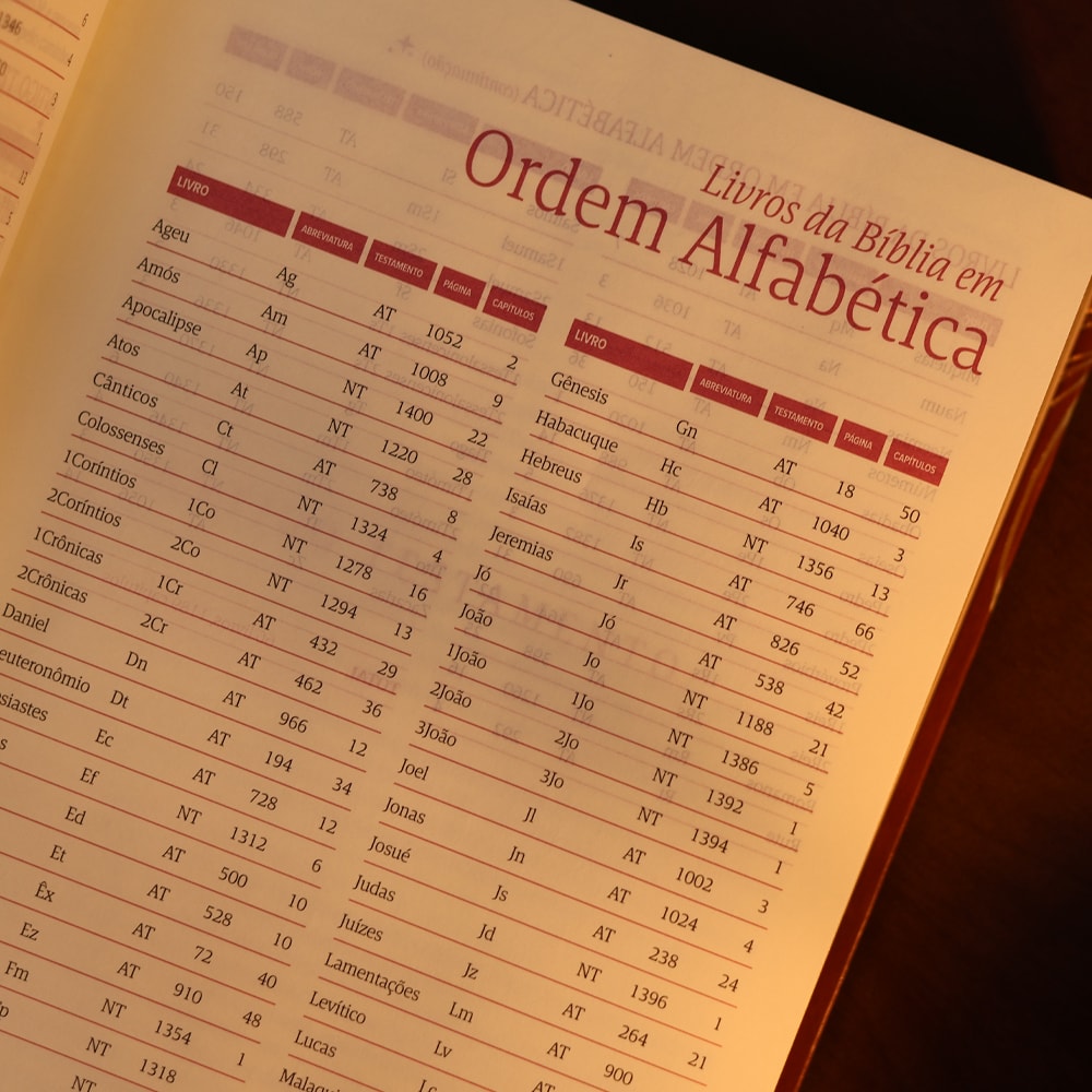 Bíblia Mulheres | Viviane Martinello | NAA | Espaço Para Anotações | Duas Colunas | Folhas Caramelo