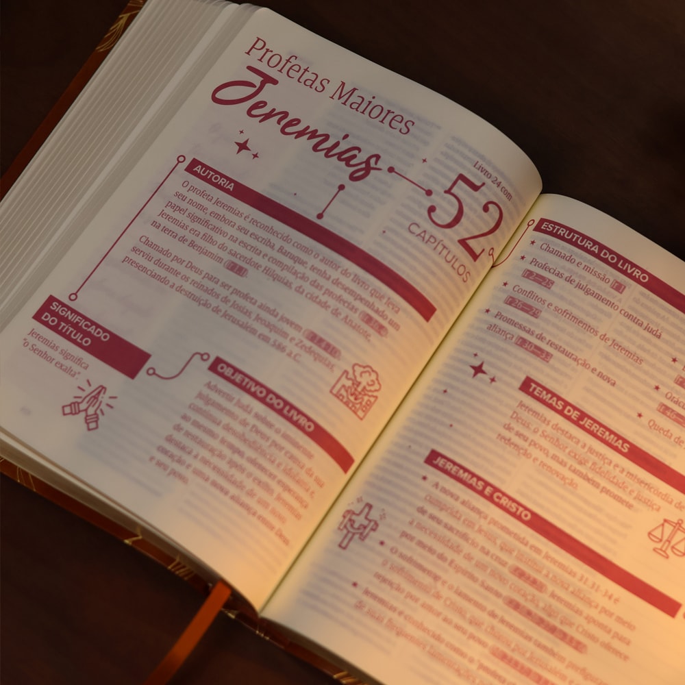 Bíblia Mulheres | Viviane Martinello | NAA | Espaço Para Anotações | Duas Colunas | Folhas Caramelo