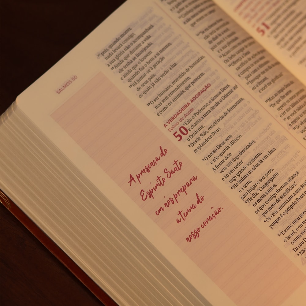 Bíblia Mulheres | Viviane Martinello | NAA | Espaço Para Anotações | Duas Colunas | Folhas Caramelo