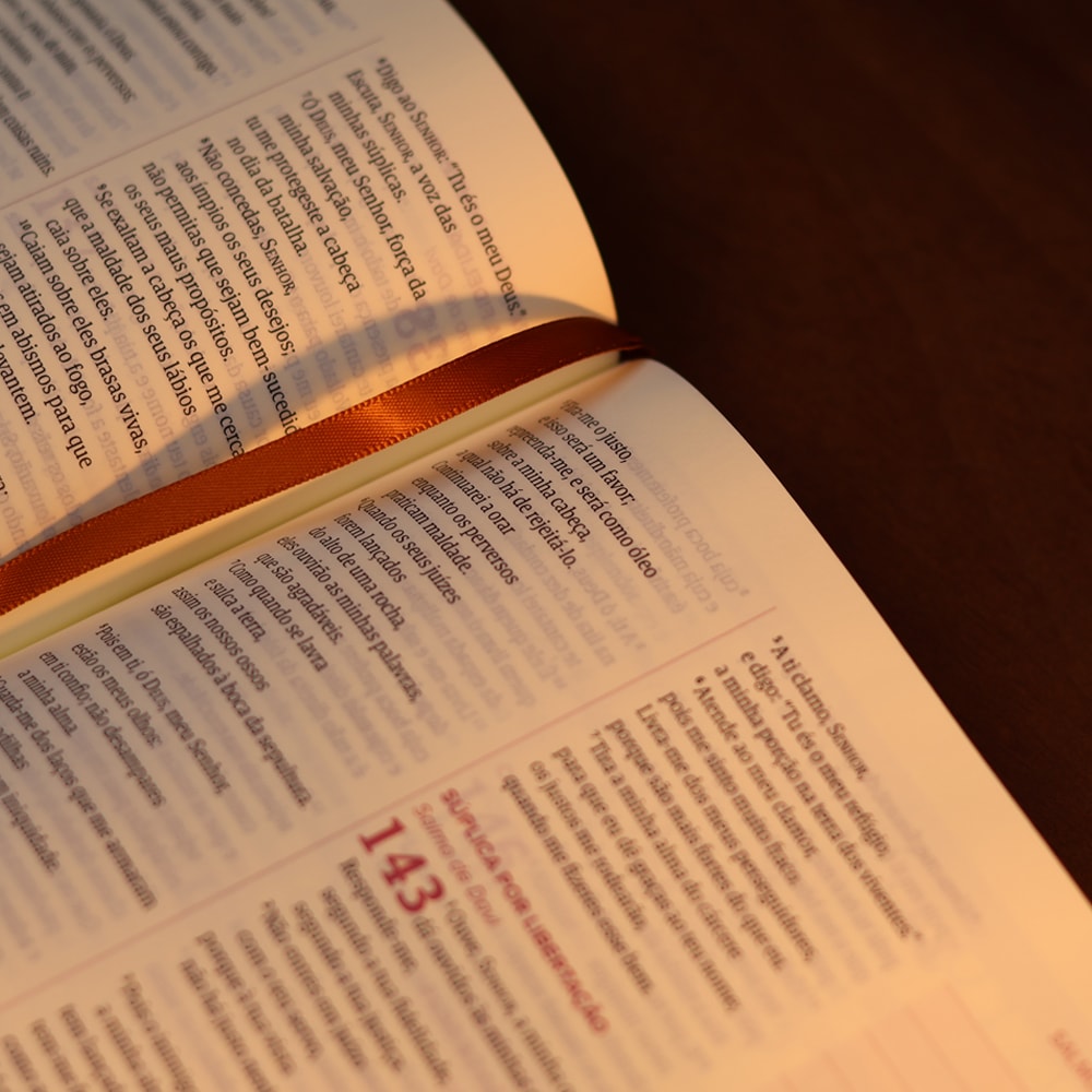 Bíblia Mulheres | Viviane Martinello | NAA | Espaço Para Anotações | Duas Colunas | Folhas Caramelo