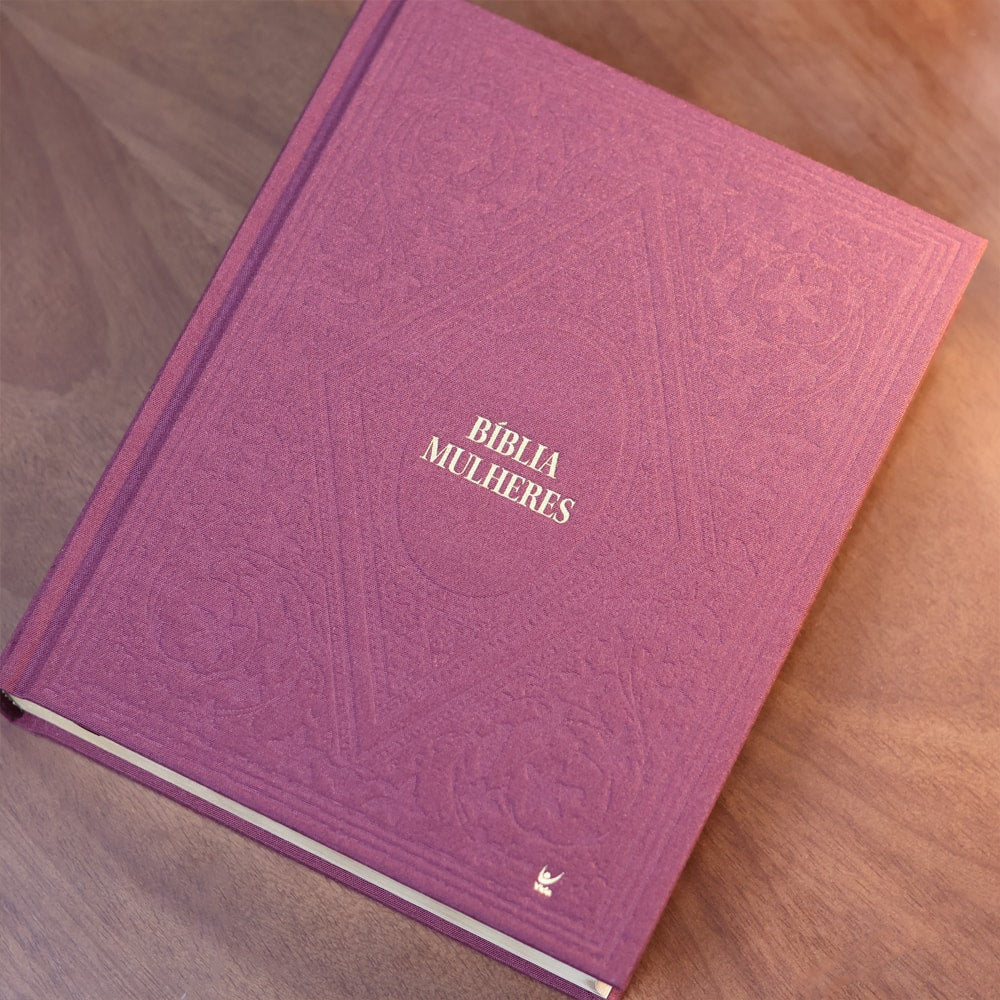 Bíblia Mulheres | Viviane Martinello | NAA | Espaço Para Anotações | Duas Colunas | Capa Clássica Bordô