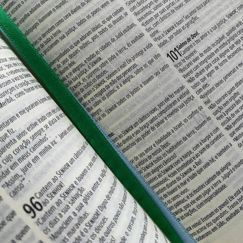 Bíblia Fonte de Vida| NVT| Leia e Anote