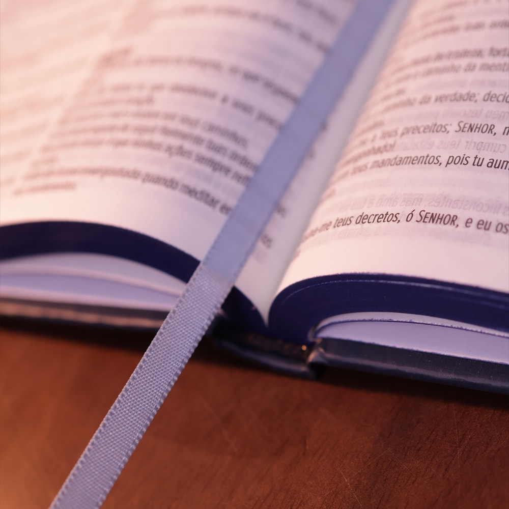 Bíblia Sagrada Slim Correnteza | NVT | Capa Dura